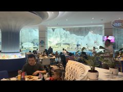 -帝企鹅自助餐厅•儿童岛•真企鹅(长隆企鹅酒店)