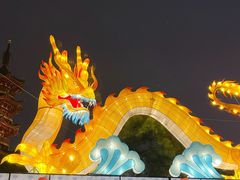 -龙华素斋(龙华路店)