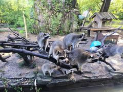 -宁波野生动物园