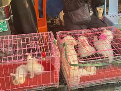 -昆明老街