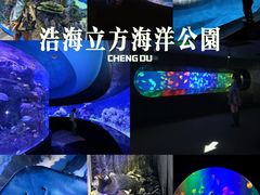 -成都浩海立方海洋公园
