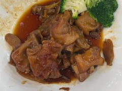 -绿雅居原生态农庄(小涌店)