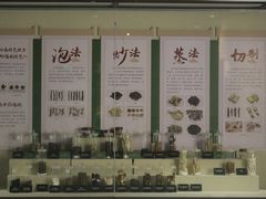 -广东中医药博物馆