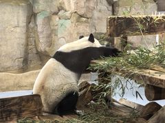 -无锡动物园·太湖欢乐园