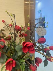 -芳朵美容养生SPA