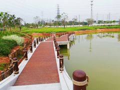 -王借岗森林公园