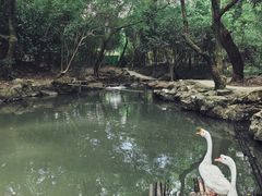 -兰亭风景区