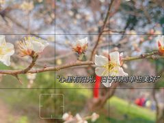 -无锡梅园公园
