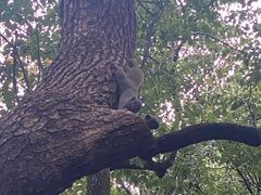 -徐家汇源景区-衡山公园