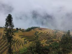 -龙脊梯田