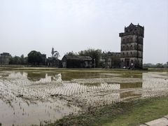 -开平碉楼文化旅游区马降龙景区