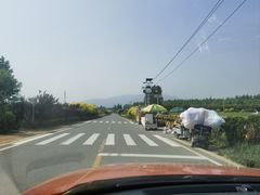 -君乐宝优致牧场