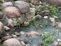 -白塘生态植物园