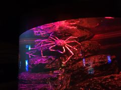 -暹罗海洋世界