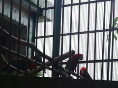 -广东茂名森林公园