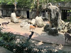 -成都动物园