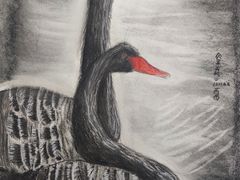 -甲乙果 美术书法(通州校区)