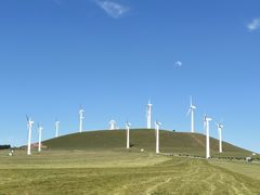 -塞罕坝国家级自然保护区