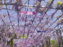 -武汉紫薇都市田园