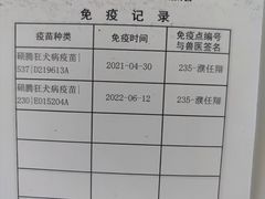 -艾贝尔宠物医院·24H转诊中心·肿瘤猫专科(江宁双龙店)