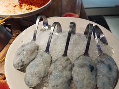 -辣伍鲜毛肚老火锅(元一店)