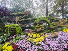 -杭州植物园