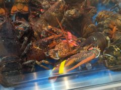 -盒马X会员店(王府井奥莱UP TOWN店)