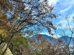 -秦岭终南山世界地质公园翠华山景区