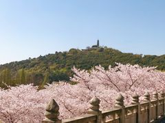 -苏州上方山国家森林公园