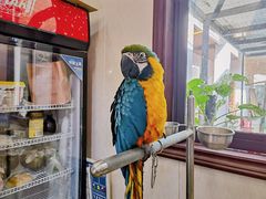 -观桥阁(锦溪店)