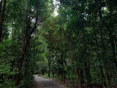 -东平国家森林公园