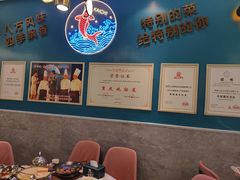 -新概念来凤鱼(璧山店)
