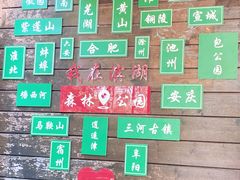 -合肥滨湖国家森林公园