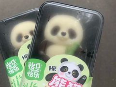-杭州动物园