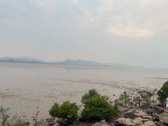 -深圳湾公园(南山区)
