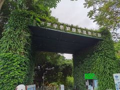 -华侨城湿地公园