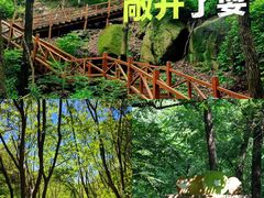 -大岭沟猕猴桃谷风景区