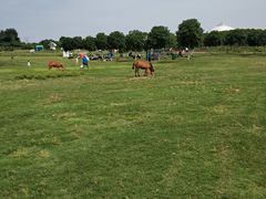 -武汉紫薇都市田园