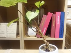 -MUJI无印良品(杭州万象城店)
