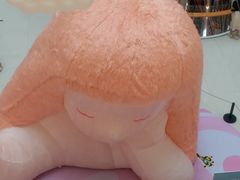 -岭南站NOVA