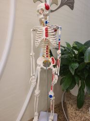 -芳朵美容养生SPA