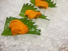 -月龍吟(朝龙汇店)