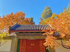 -颐和园
