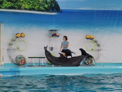 -尼莫海豚馆