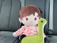 -天猫养车贴膜轻改·蓝电(优匹康桥东路店)