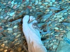 -泉城欧乐堡戏水湾艺术养生温泉