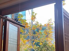 -隐溪茶馆(静安寺店)