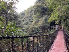 铁索桥-周洛大峡谷