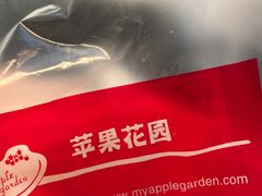 -苹果花园(枫林路店)