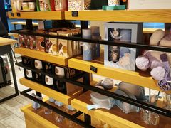 -星巴克(兰州中川机场T2出发店)